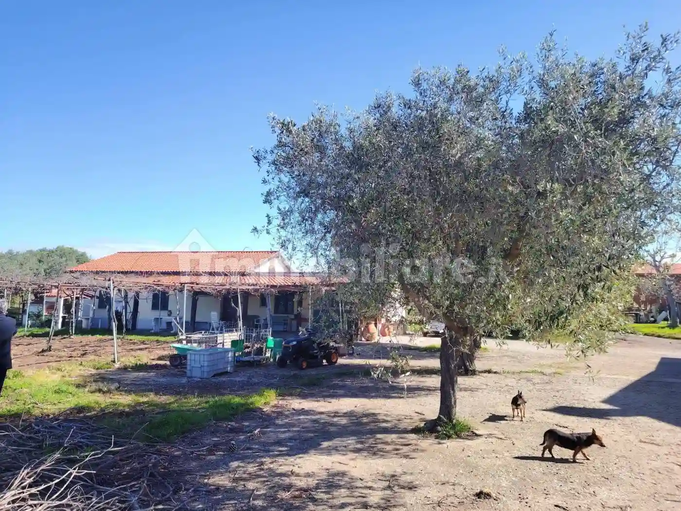 Rustico - Casale - foto 5