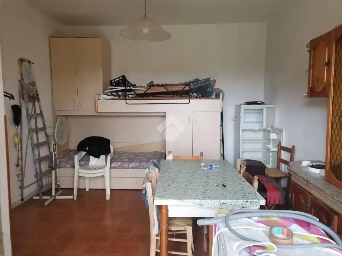 Quadrilocale via degli ulivi, Marina Di Santa Maria Del Cedro, Santa Maria del Cedro - foto 2