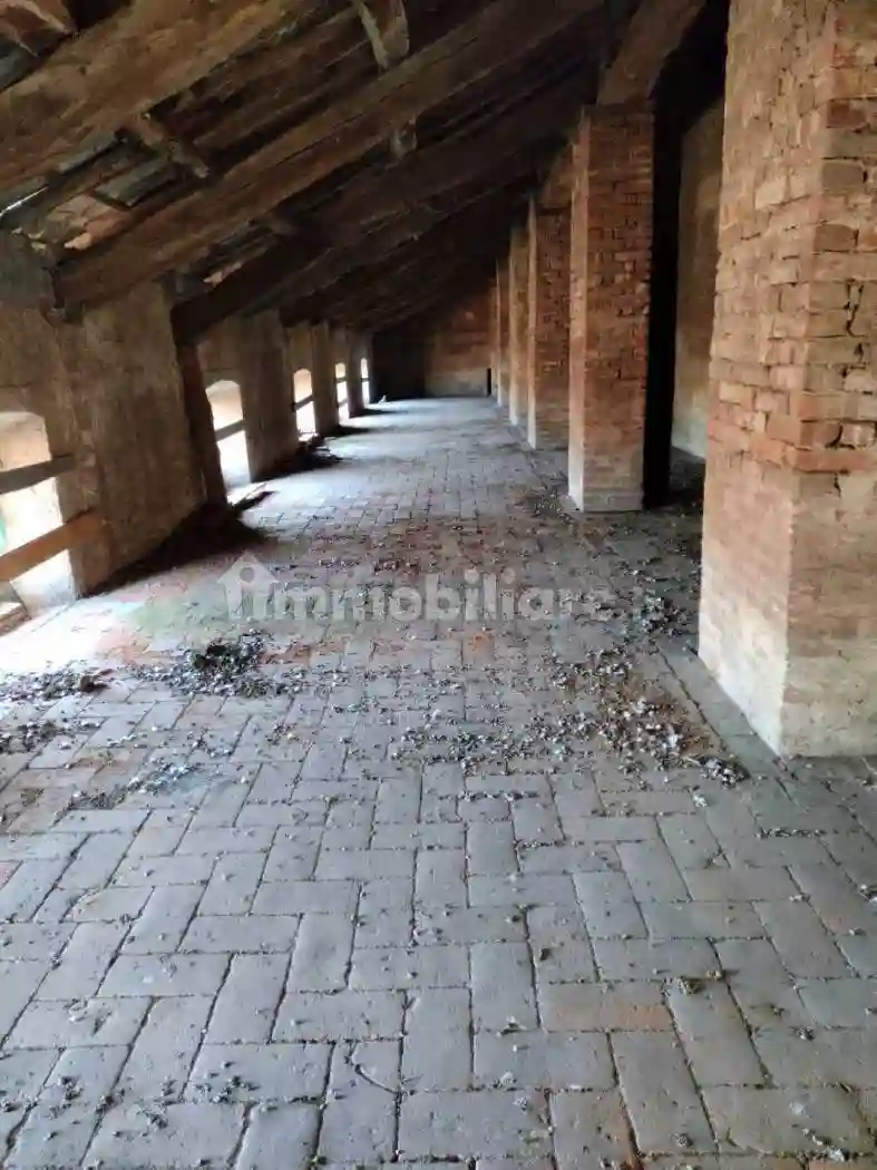 Palazzo - Edificio - foto 5