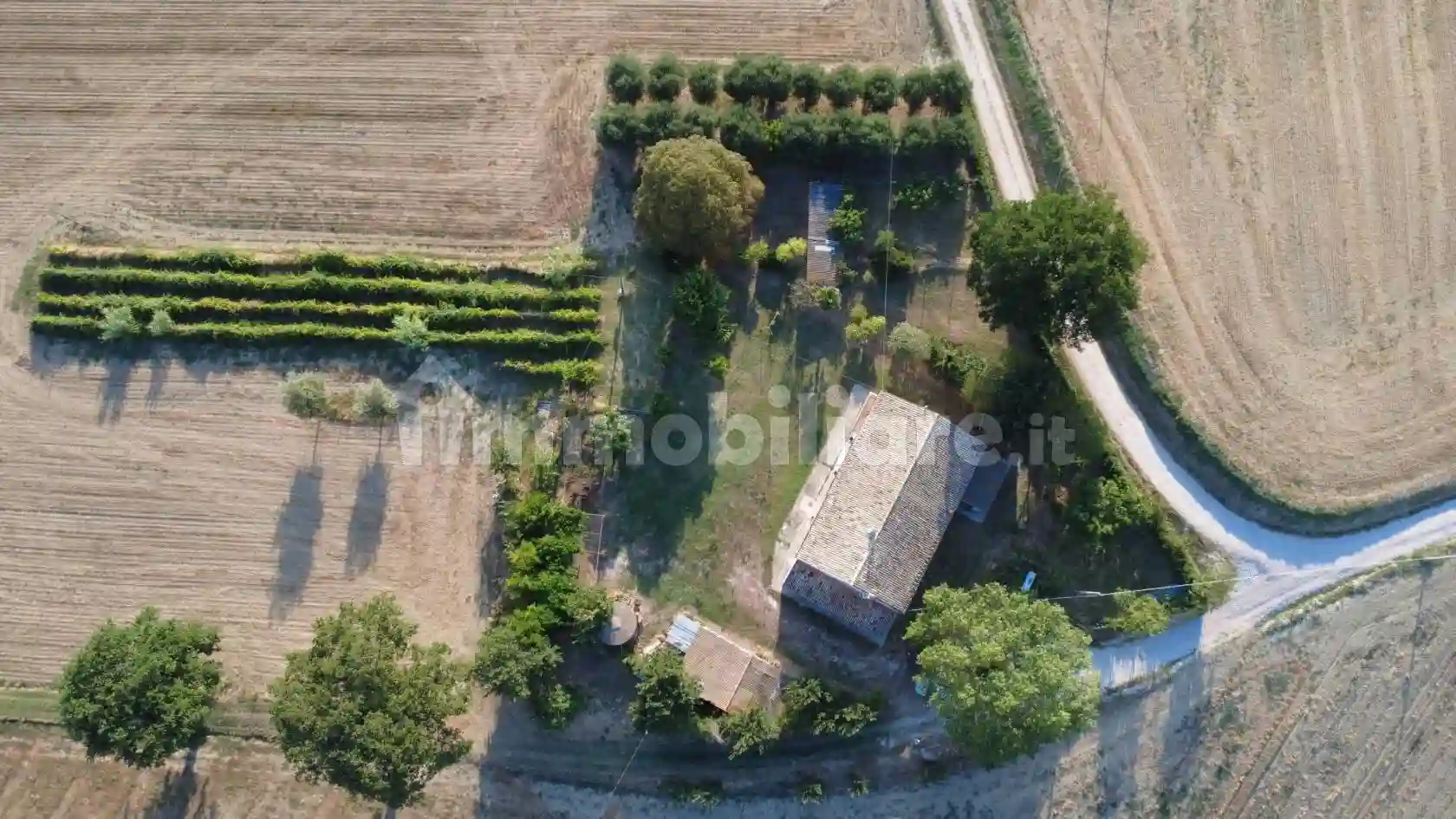 Rustico - Casale - foto 5