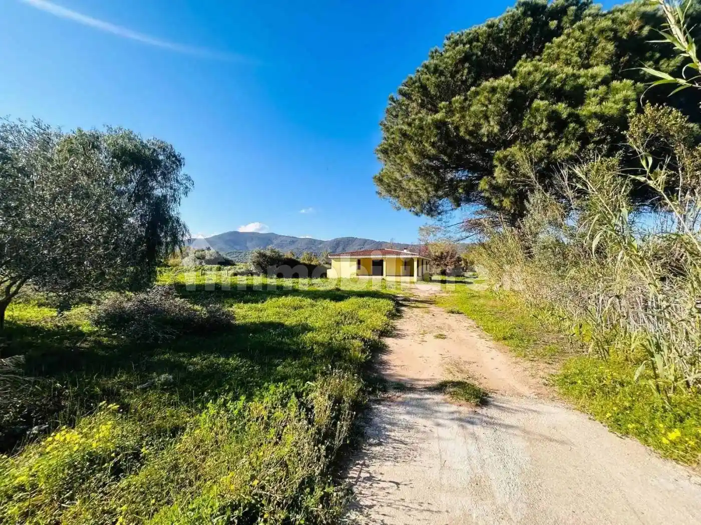 Villa in vendita a Torpè