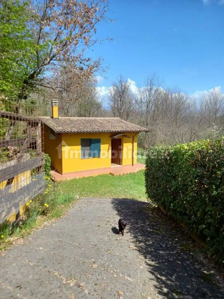 Rustico - Casale in vendita a Montelanico