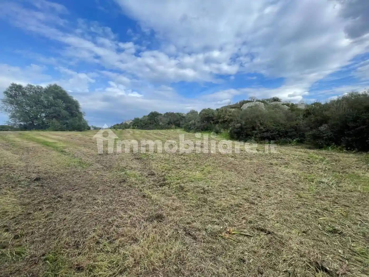 Rustico via Stazzu San Giovanni 16, San Giovanni, Sole Ruiu, Olbia - foto 2