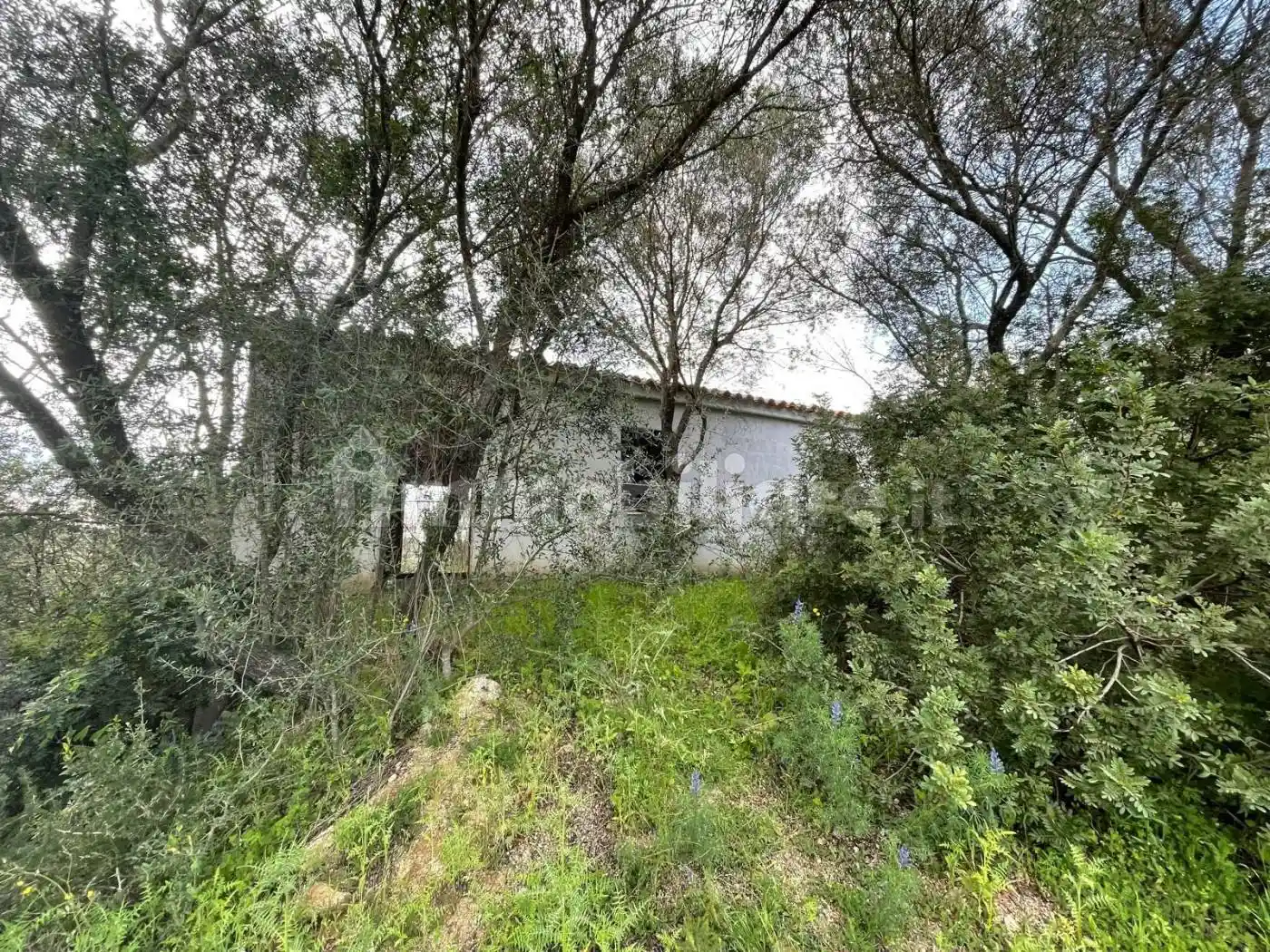 Rustico via Stazzu San Giovanni 16, San Giovanni, Sole Ruiu, Olbia - foto 4