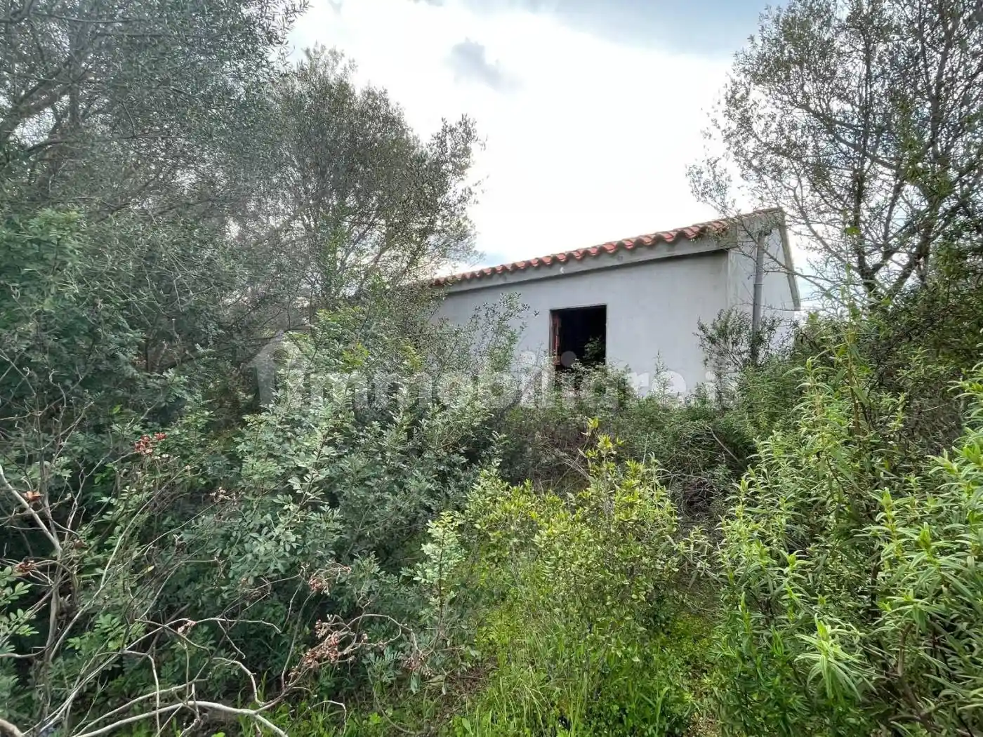 Rustico via Stazzu San Giovanni 16, San Giovanni, Sole Ruiu, Olbia - foto 5