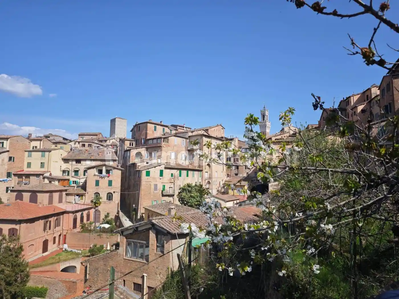 Appartamento in vendita a Siena