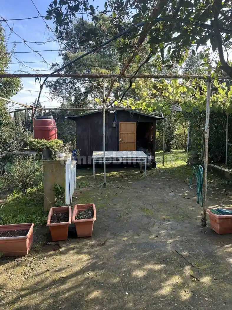 Rustico - Casale in vendita a Piombino