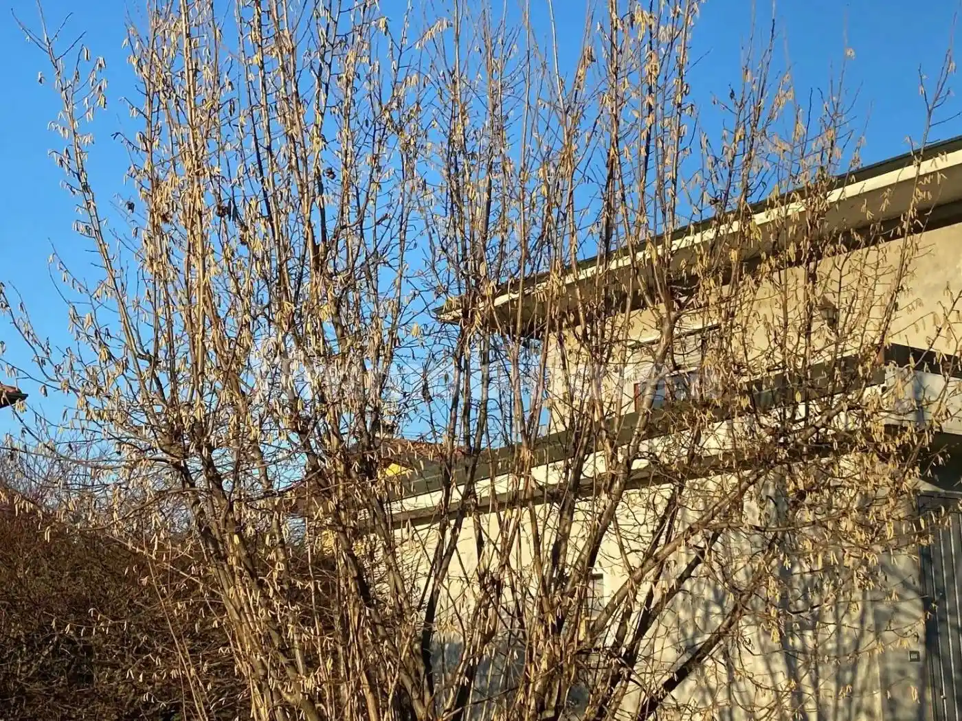 Villa in vendita a Borgo Ticino