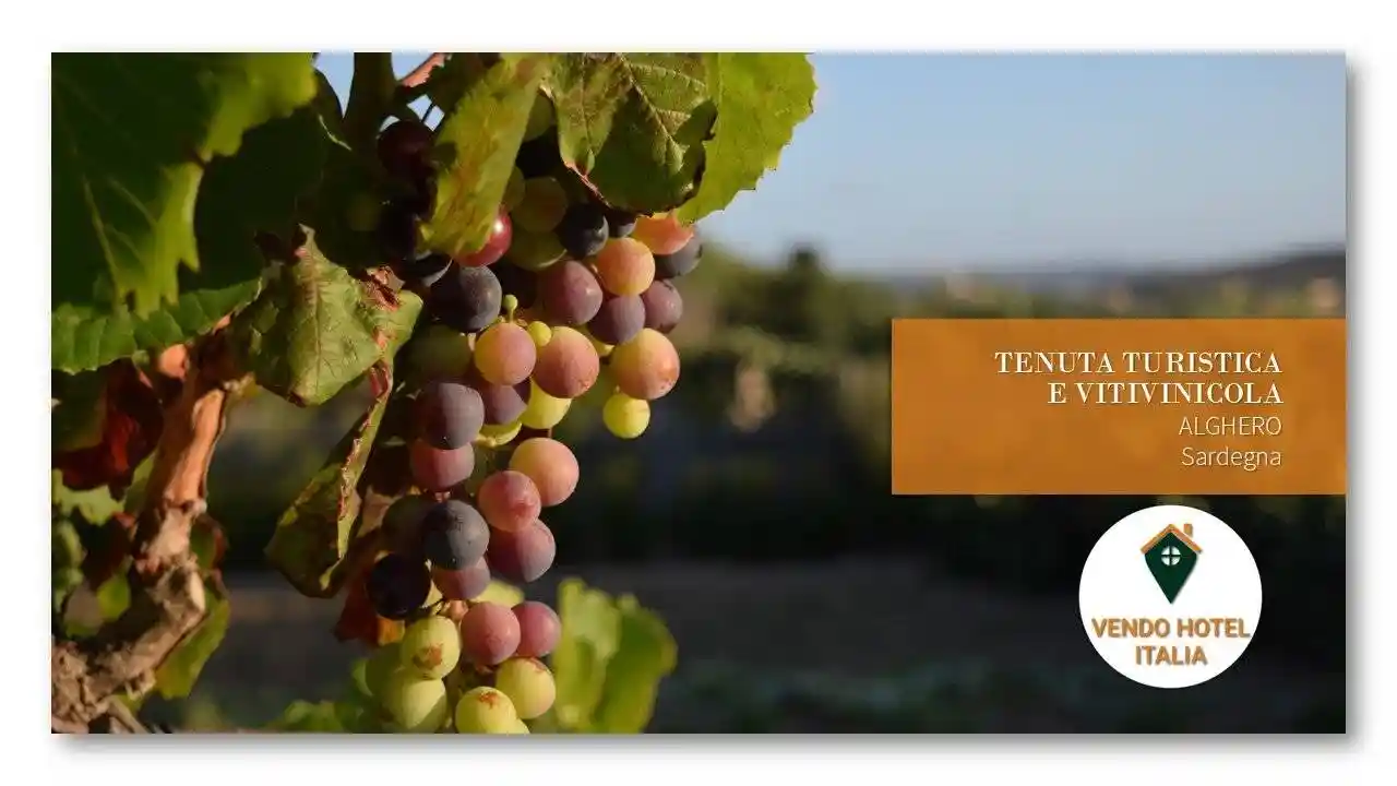 Palazzo - Edificio in vendita a Alghero