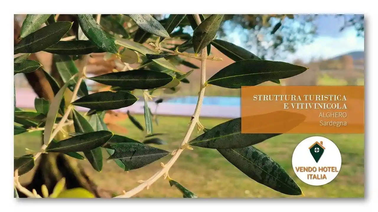 Palazzo - Edificio in vendita a Alghero