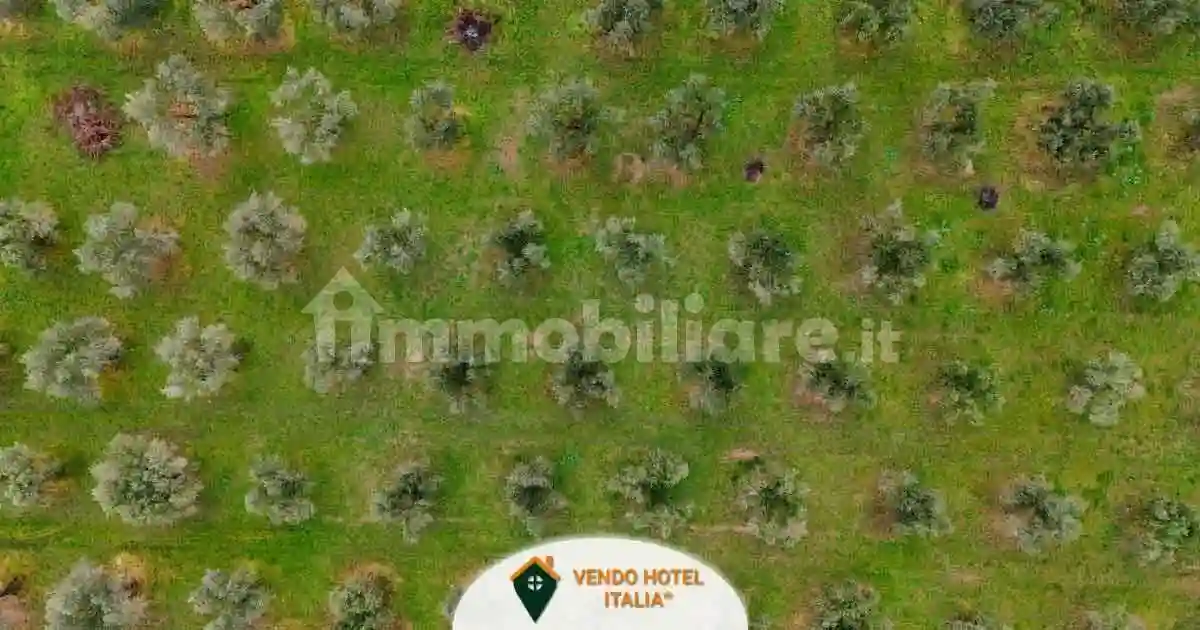 Palazzo - Edificio - foto 4