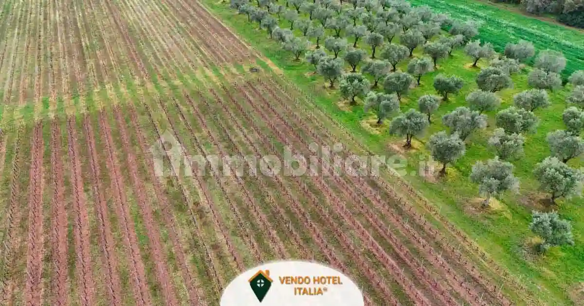 Palazzo - Edificio - foto 5