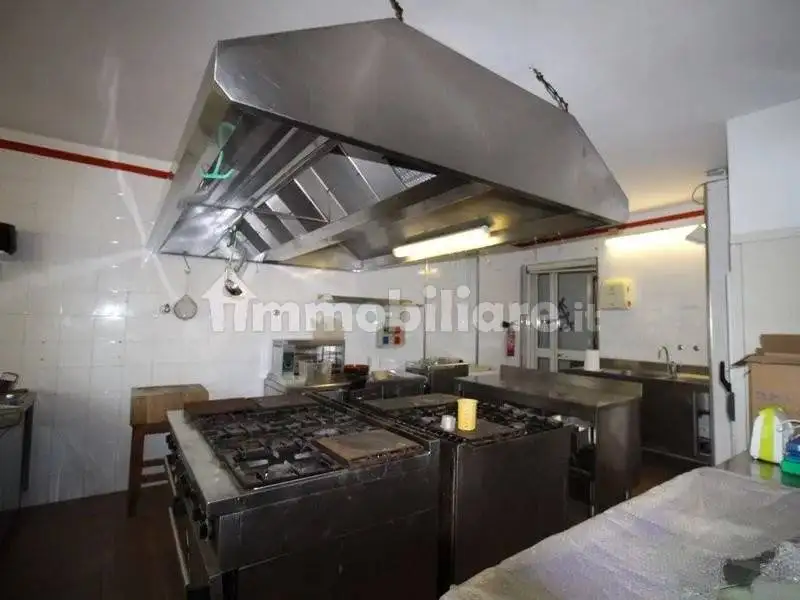 Villa unifamiliare, da ristrutturare, 570 m², Albaretto della Torre - foto 4