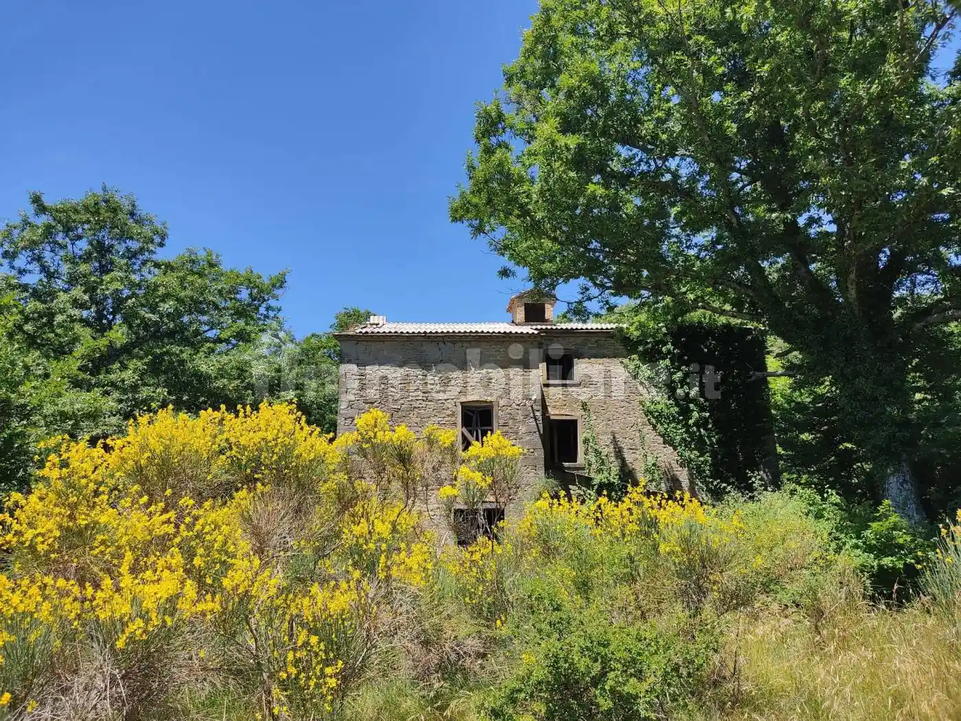 Rustico - Casale in vendita a Apecchio