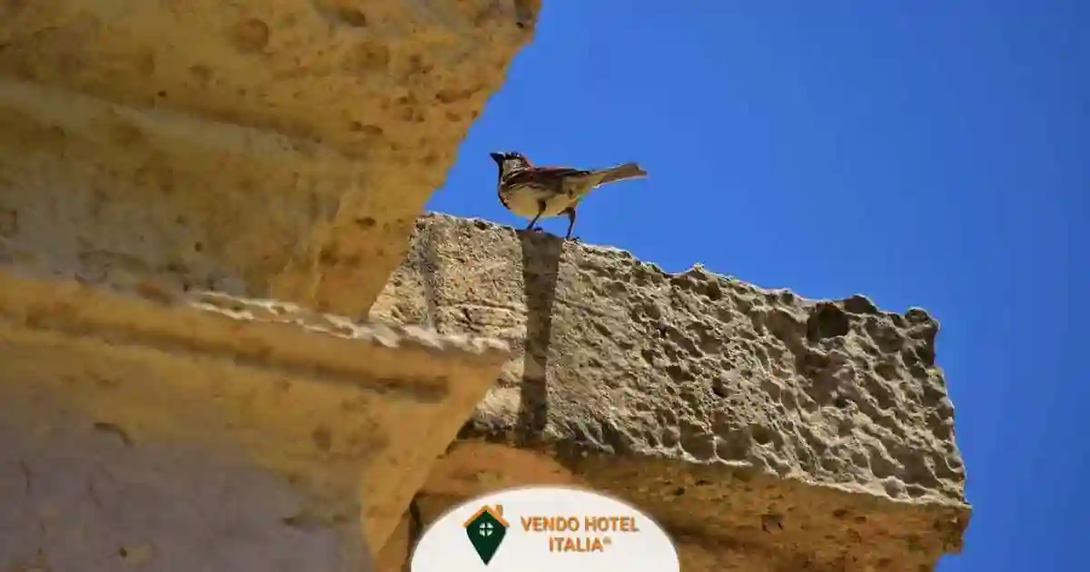 Palazzo - Edificio - foto 4