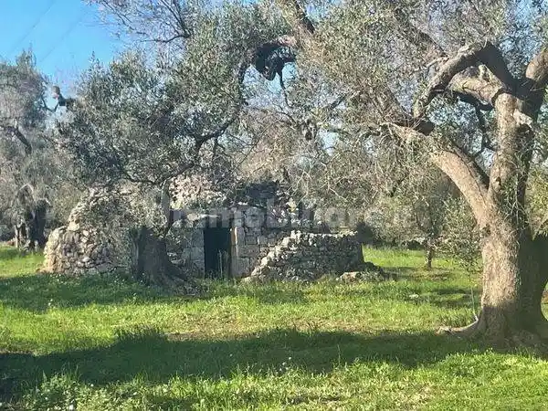 Rustico - Casale in vendita a San Michele Salentino