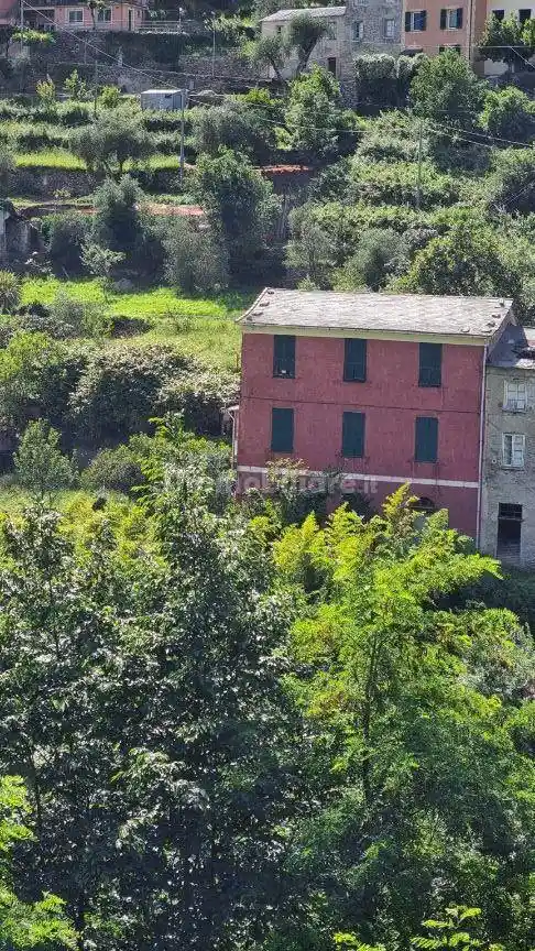 Rustico - Casale in vendita a Avegno