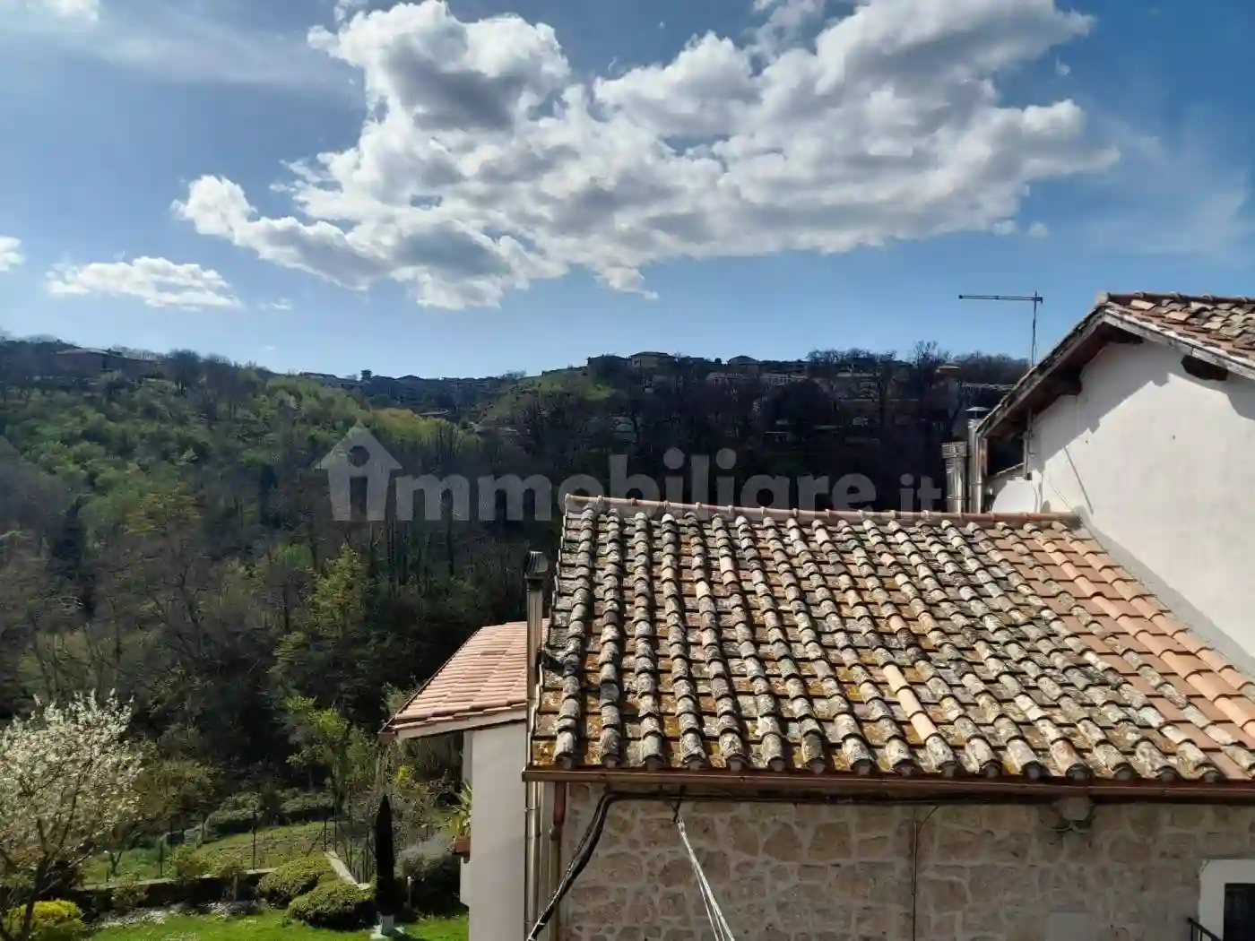 Palazzo - Edificio - foto 3