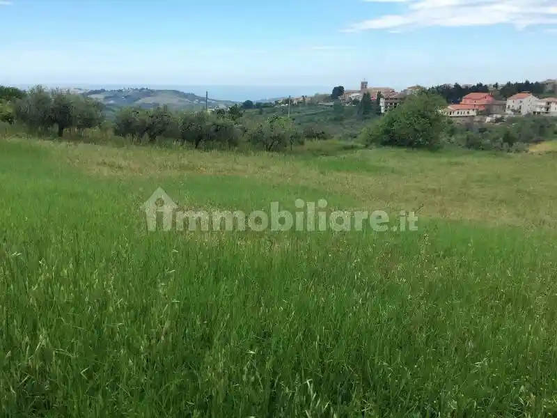 Appartamento nuovo, piano terra, Centro, Cupello - foto 2