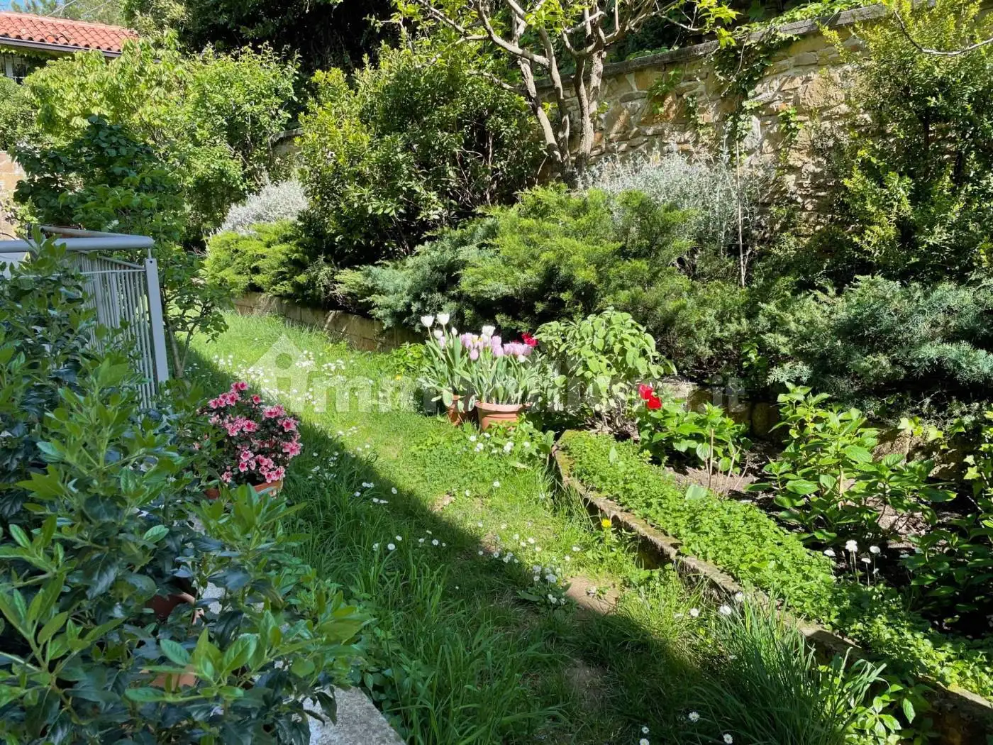 Loft in affitto a Trieste