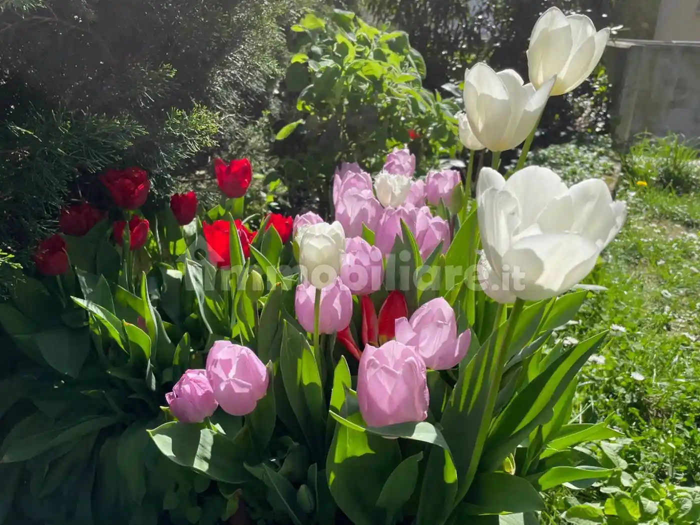 Open space via di Romagna 134, Scorcola, Trieste - foto 2