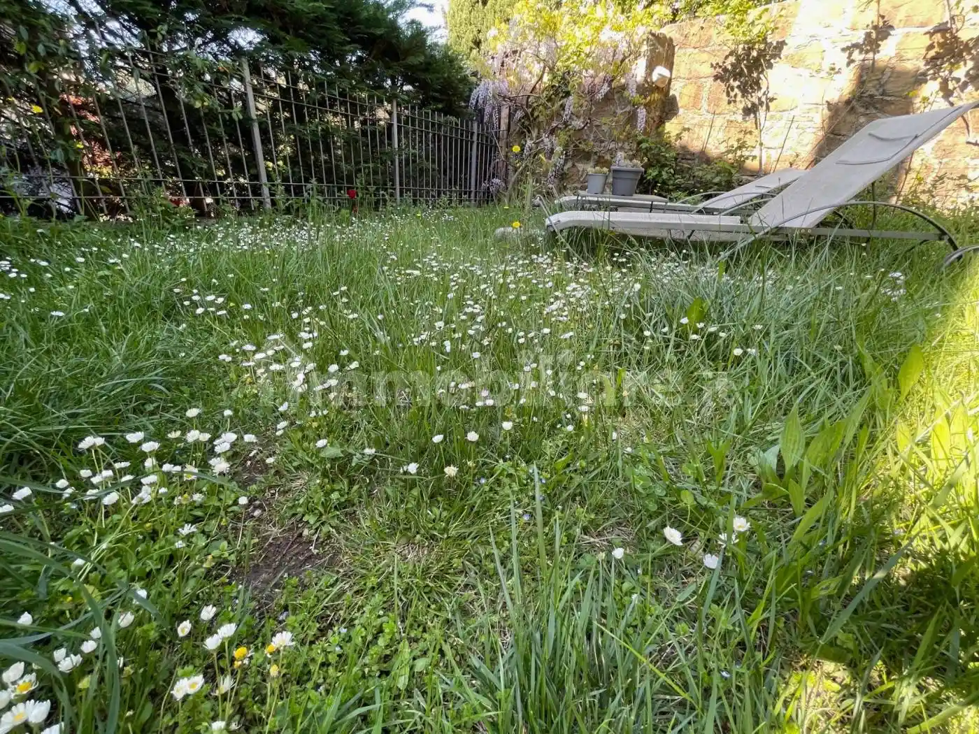 Open space via di Romagna 134, Scorcola, Trieste - foto 3