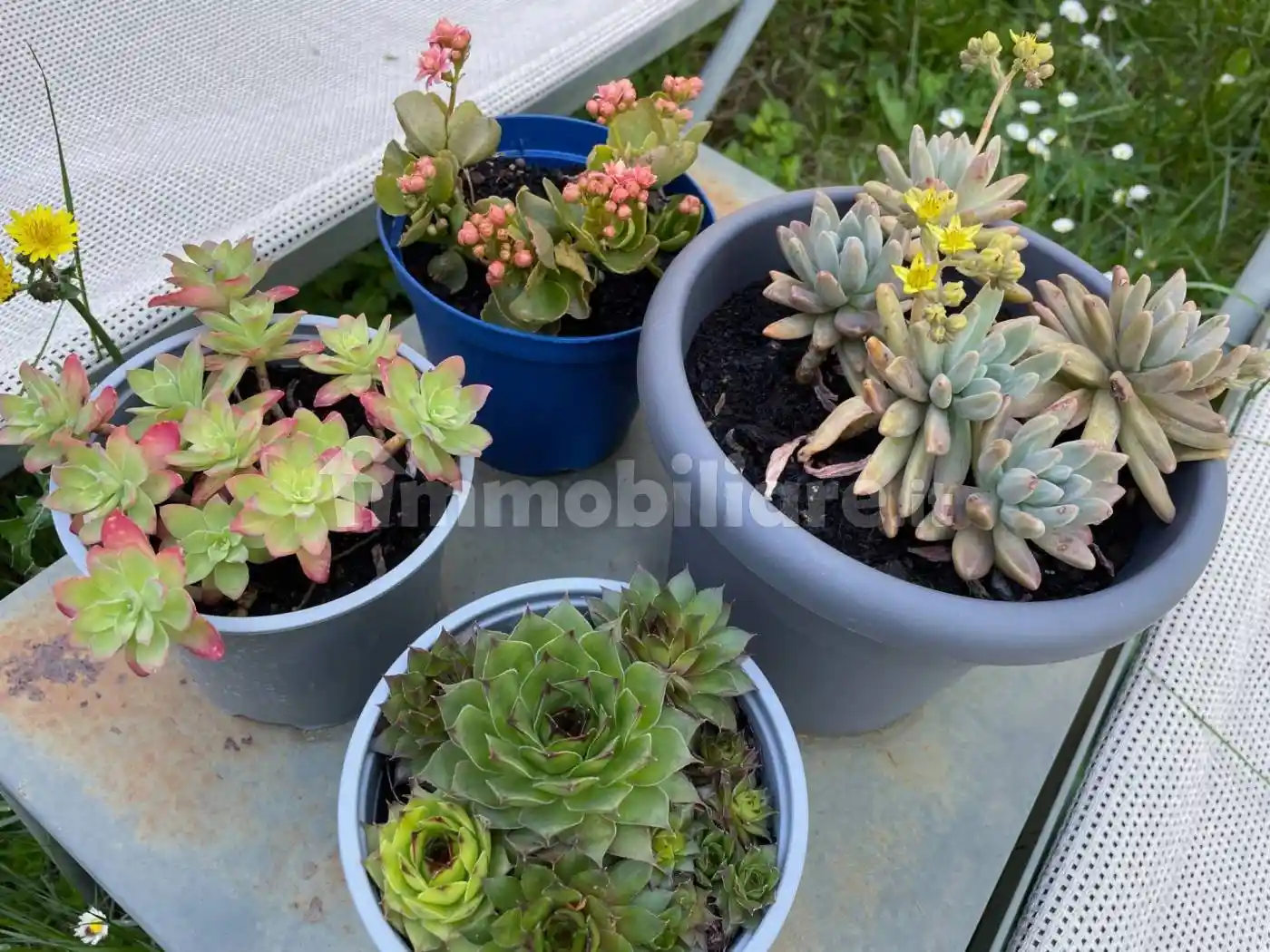 Open space via di Romagna 134, Scorcola, Trieste - foto 5