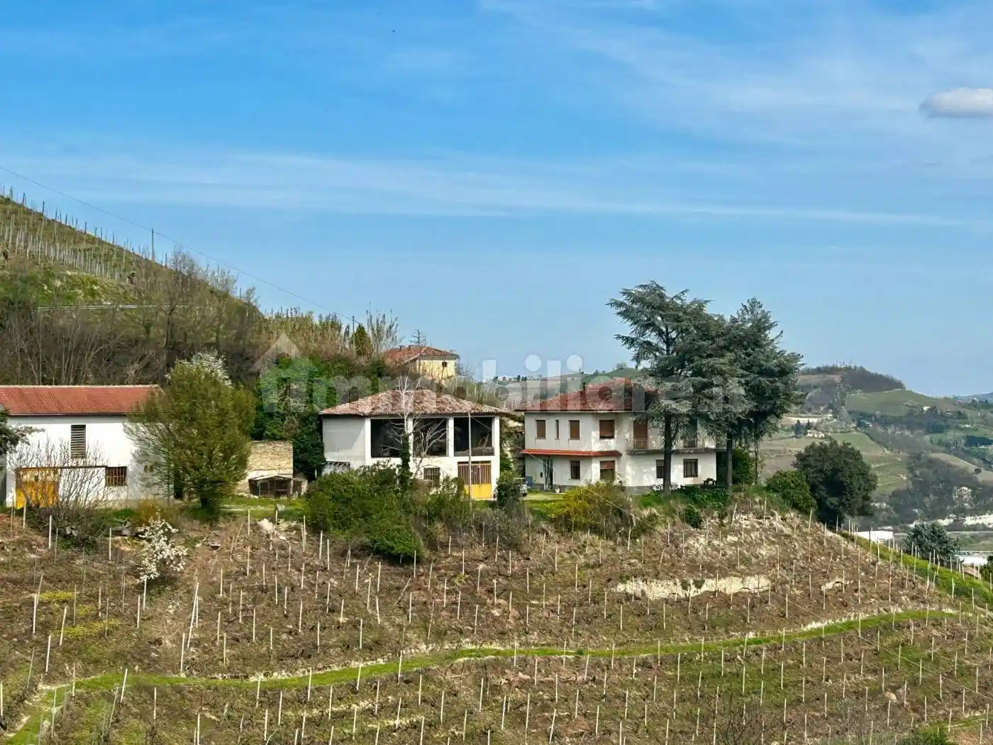 Villa bifamiliare Località Moncucco 40, Santo Stefano Belbo - foto 2