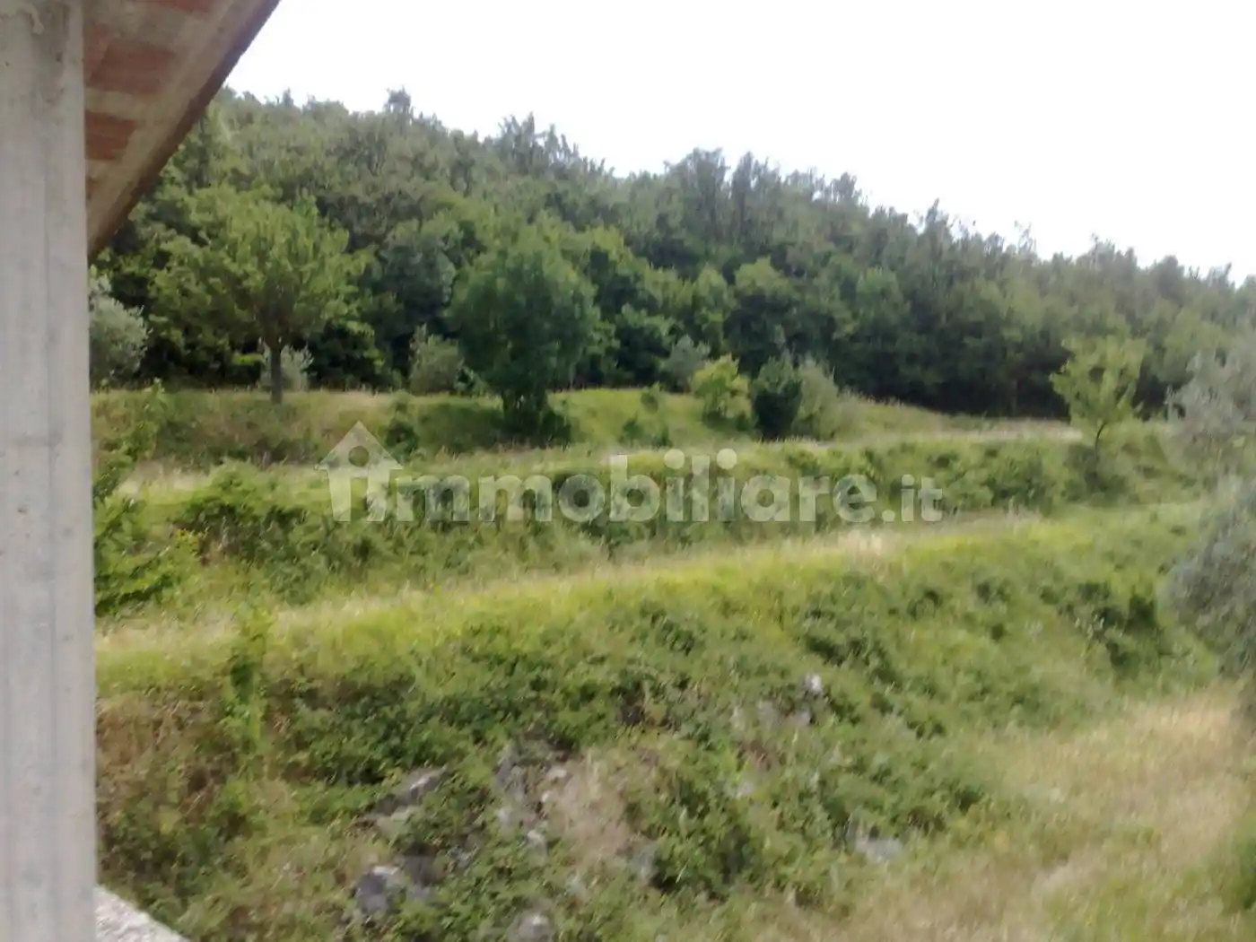 Masseria Strada Provinciale Formicola Dragoni, Dragoni - foto 5