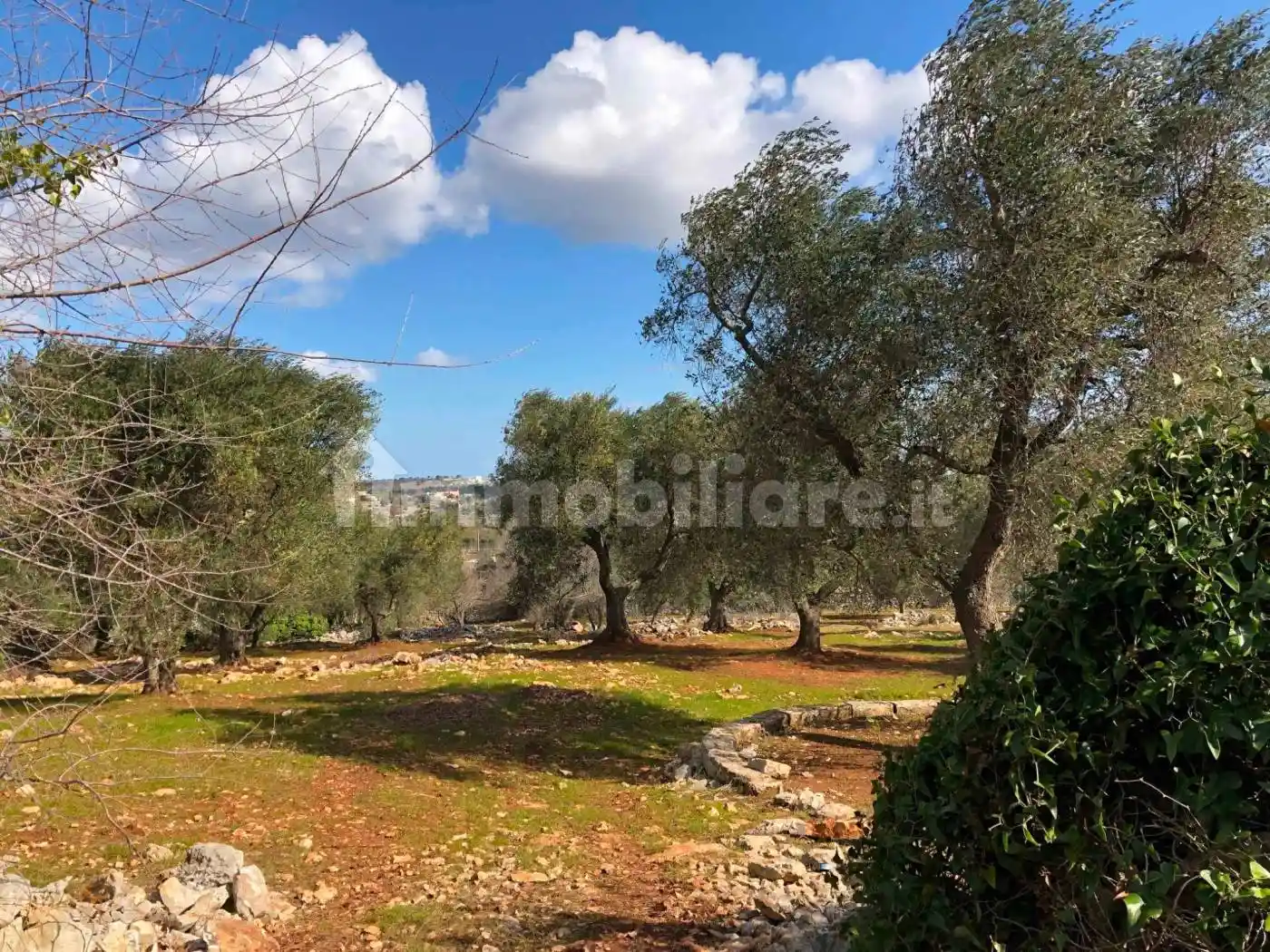 Rustico - Casale in vendita a Ceglie Messapica