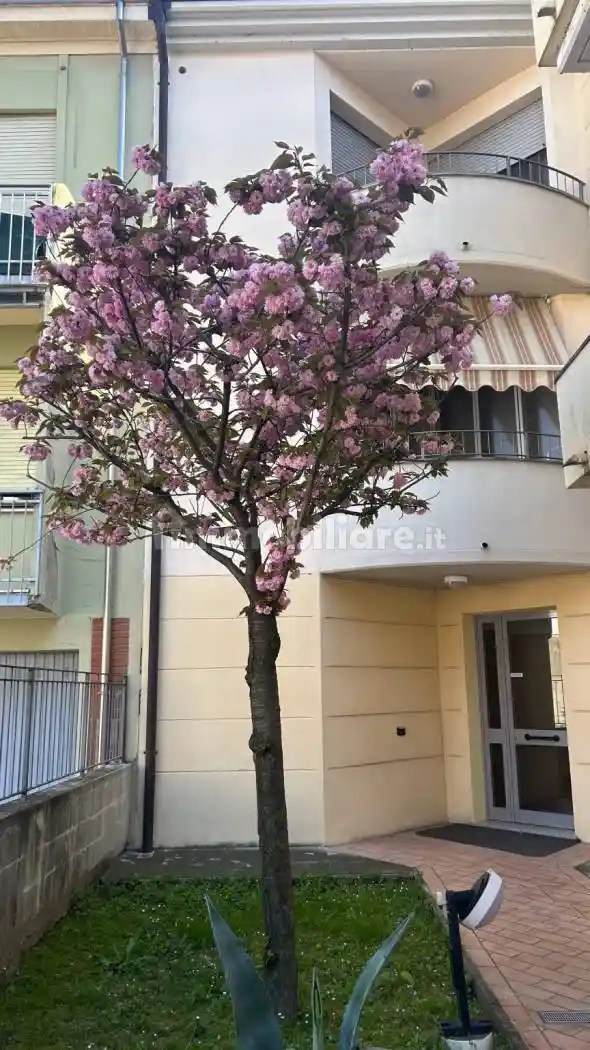 Appartamento in vendita a Fontevivo