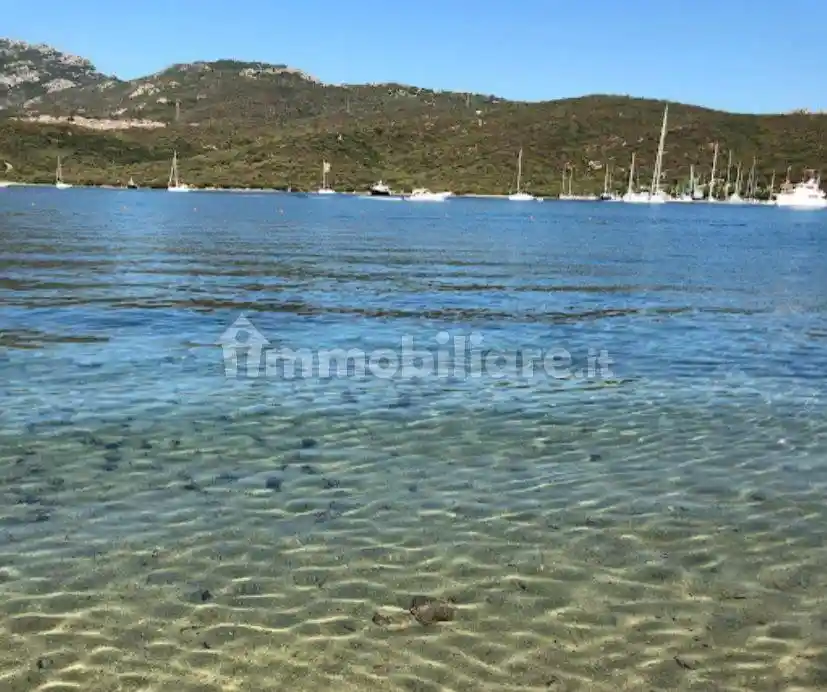 Appartamento in affitto a Olbia