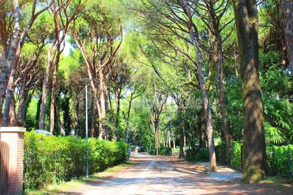 Appartamento in vendita a Eraclea