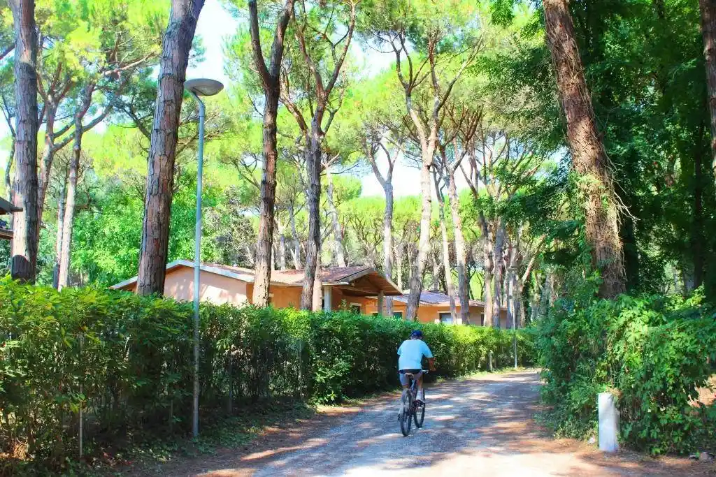 Appartamento in vendita a Eraclea