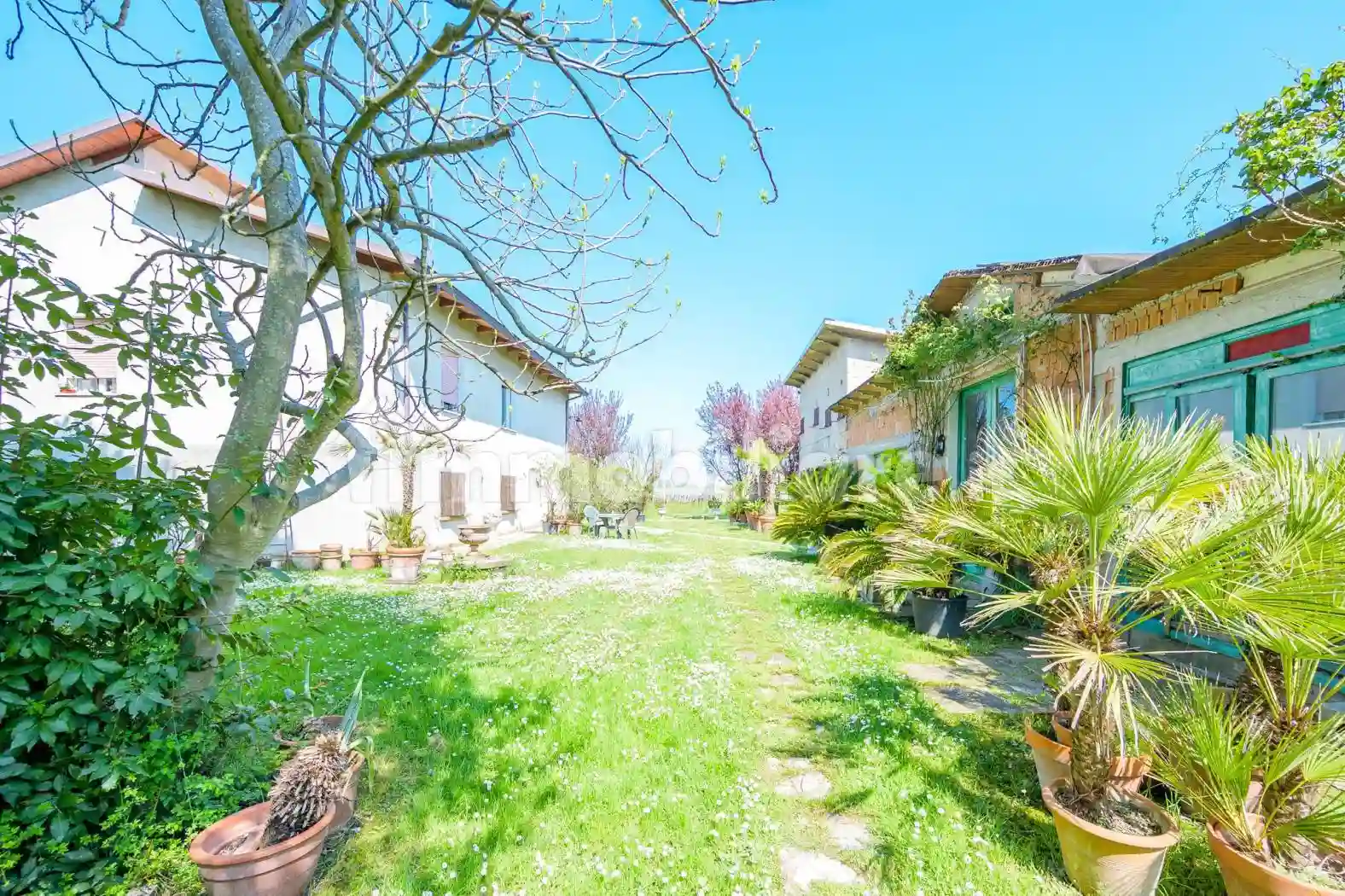 Casa indipendente - foto 4