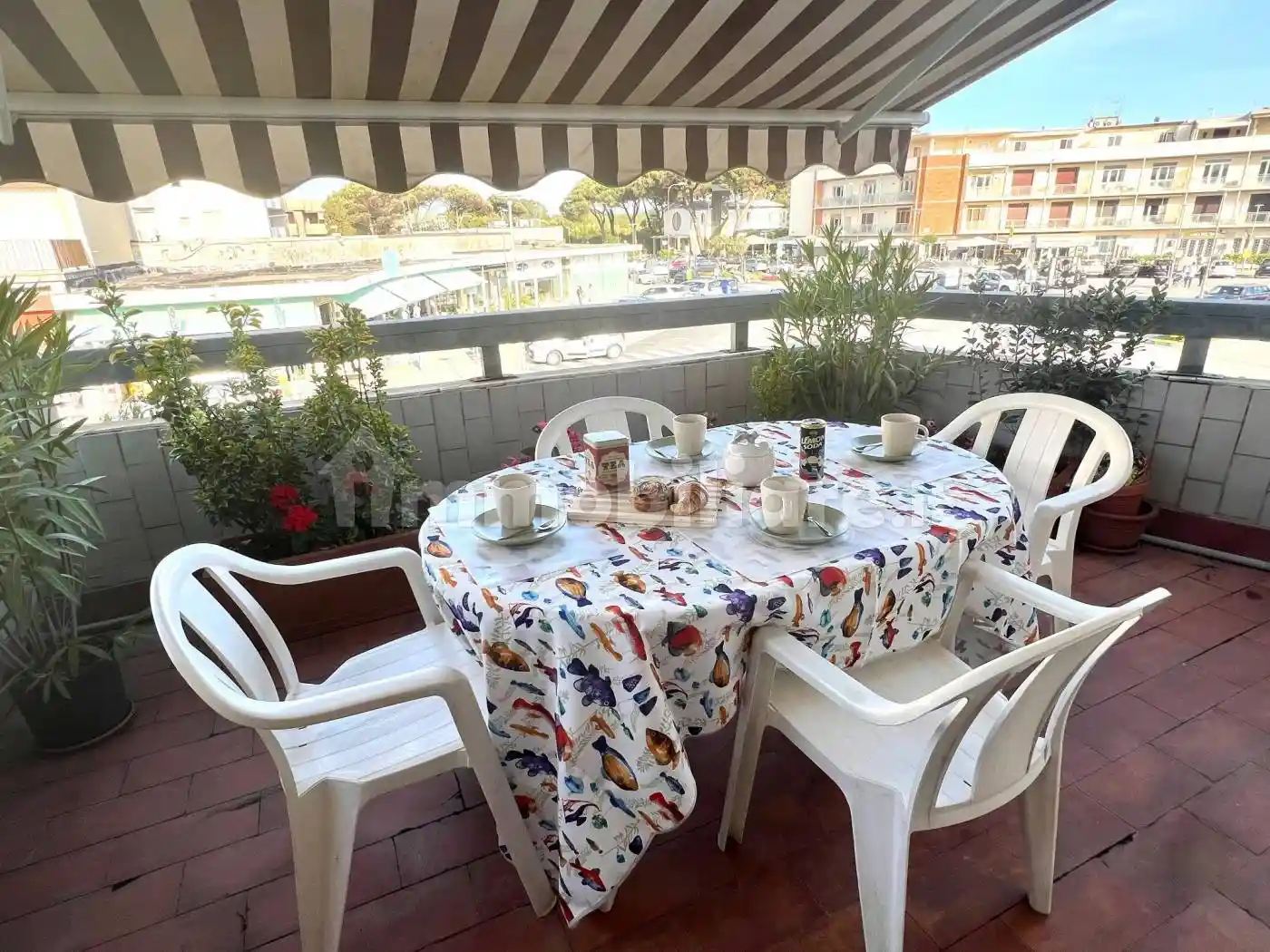 Appartamento in affitto a Pisa