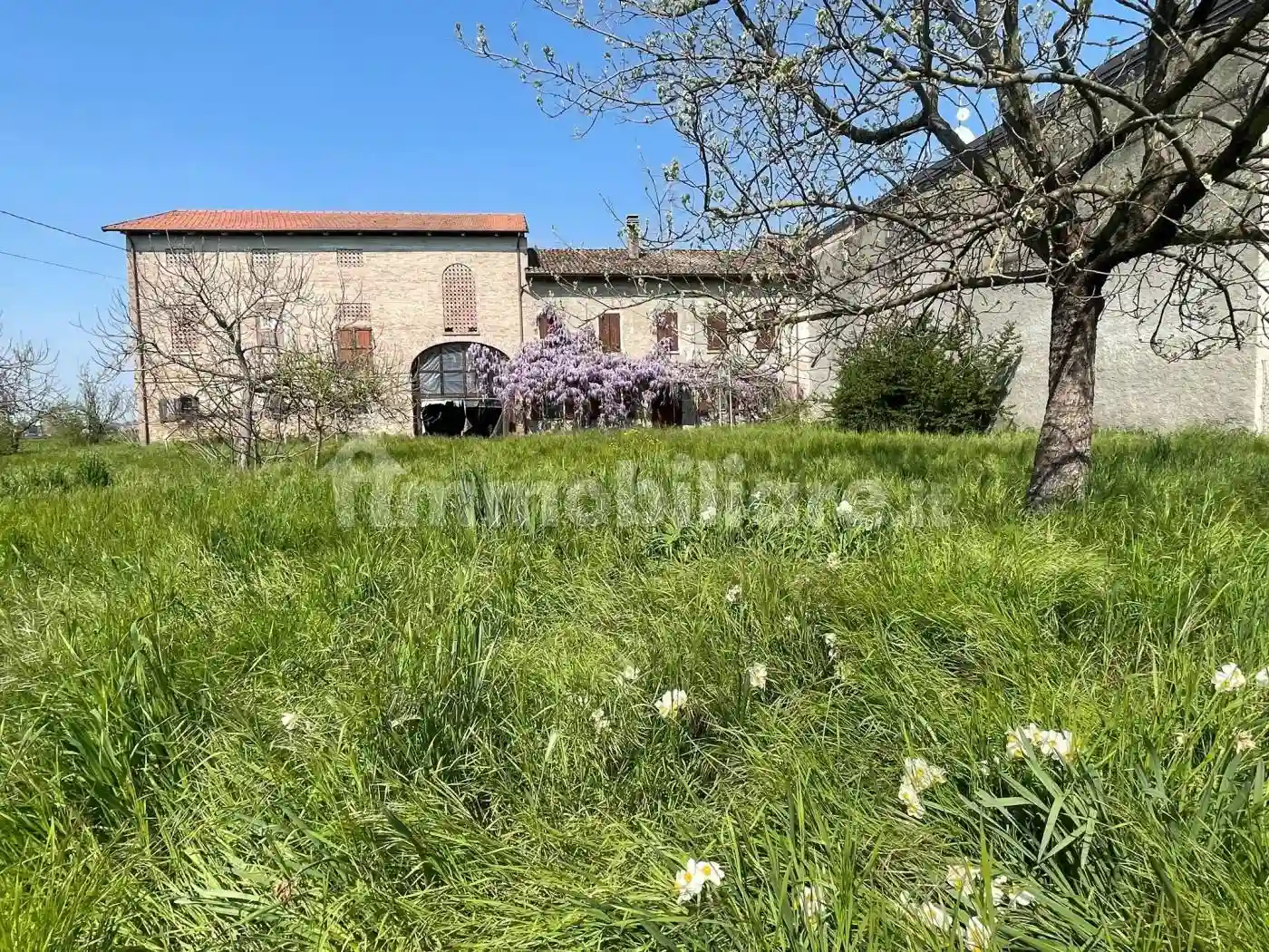 Rustico - Casale - foto 5