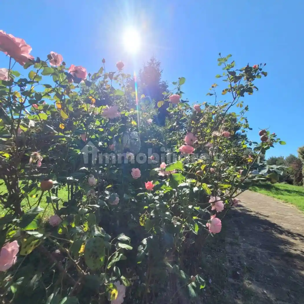 Villa unifamiliare via Onofrio Colace, Pontegrande - Sant'Elia, Catanzaro - foto 3