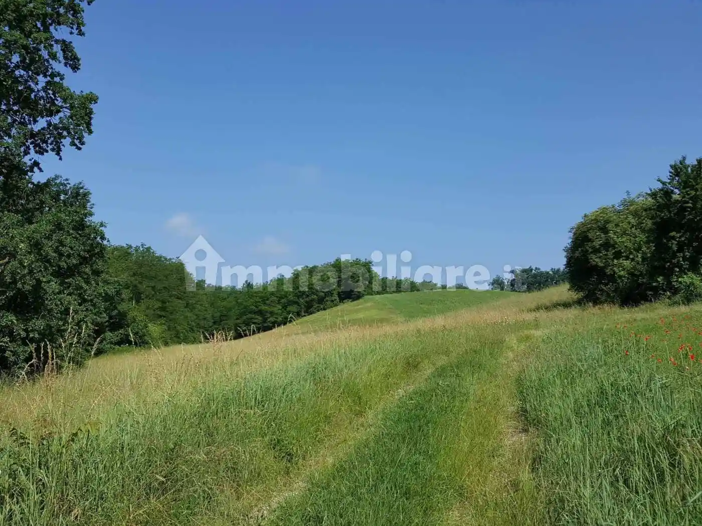 Casale Località Valgera, Valmanera, Asti - foto 4