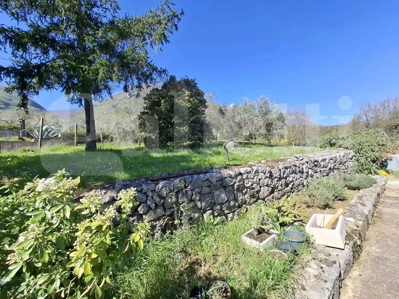 Terratetto unifamiliare Località Collepiano, 52, Collepiano, Balsorano - foto 3