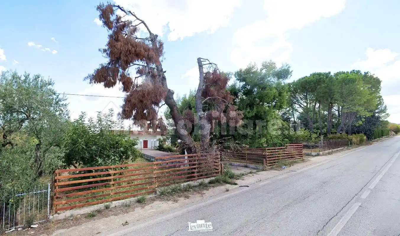 Villa in vendita a Terlizzi