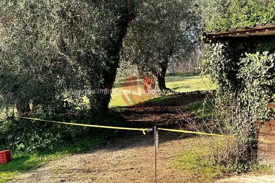 Rustico località san biagio, San Biagio - Roncosambaccio, Fano - foto 5