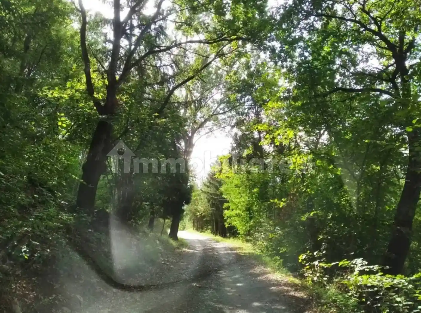 Rustico - Casale in vendita a Travo