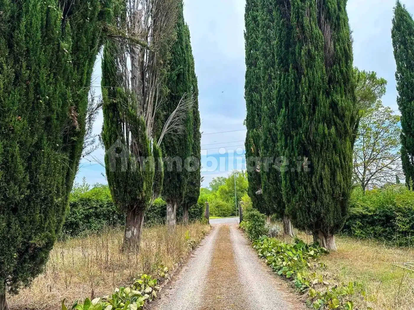Appartamento Strada di Fogliano Grosso, Sant'Andrea a Montecchio - Ginestreto, Siena - foto 2