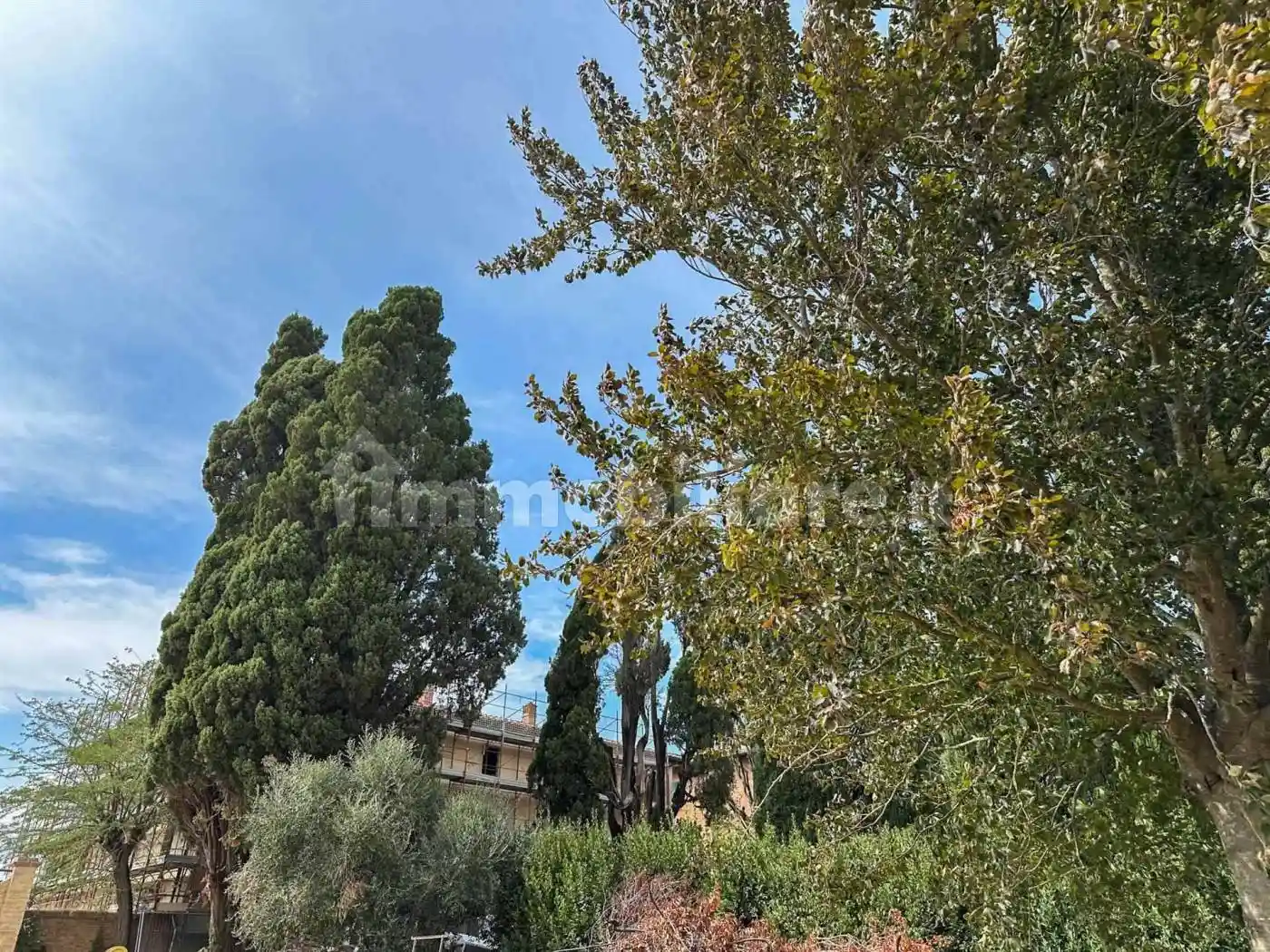 Appartamento Fogliano  25, Sant'Andrea a Montecchio - Ginestreto, Siena - foto 2