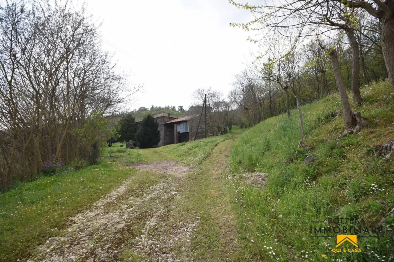 Villa unifamiliare, da ristrutturare, 25500 m², Arquà Petrarca - foto 5