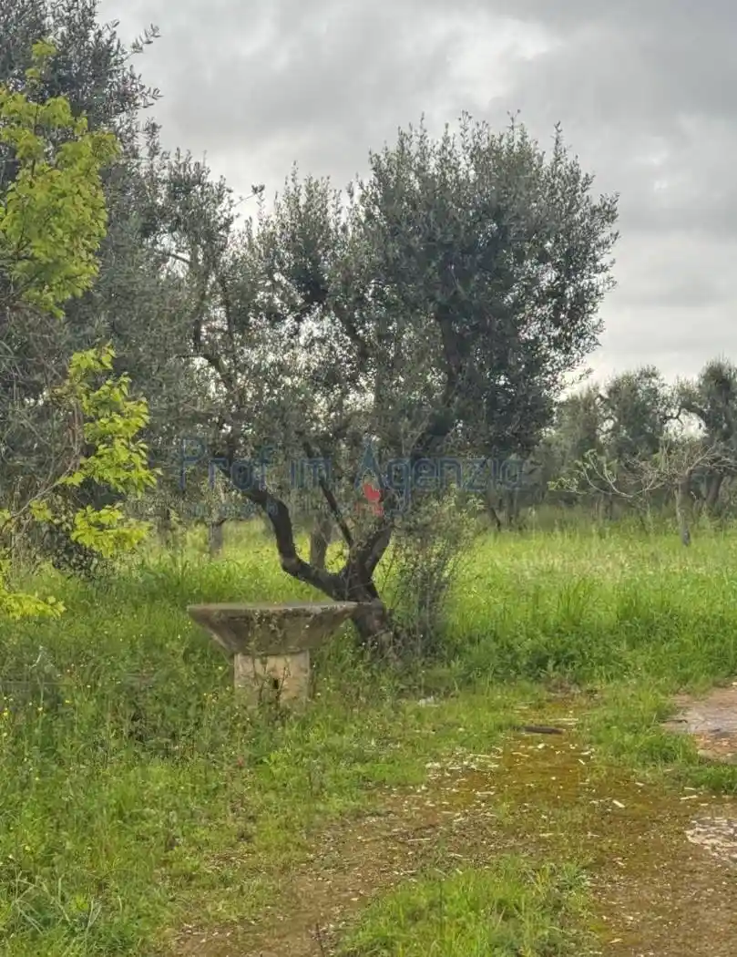 Rustico 30 m², Tamburroni, Grottone, Rosara, Ostuni - foto 5