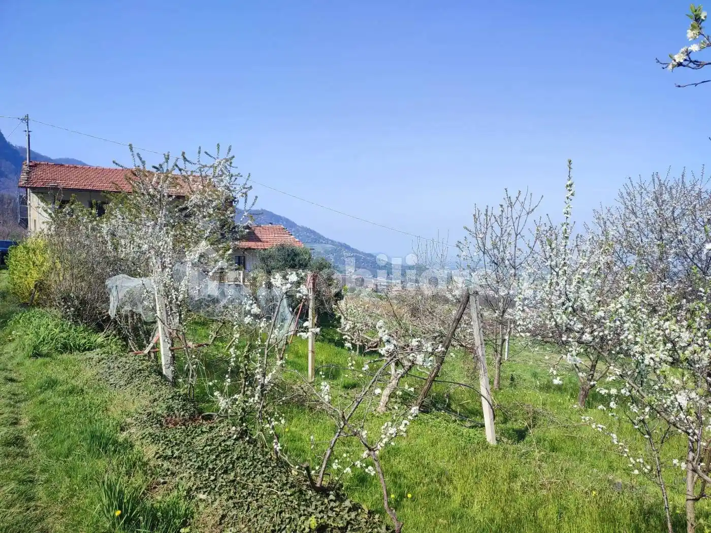 Casale via Sasia, Envie - foto 3