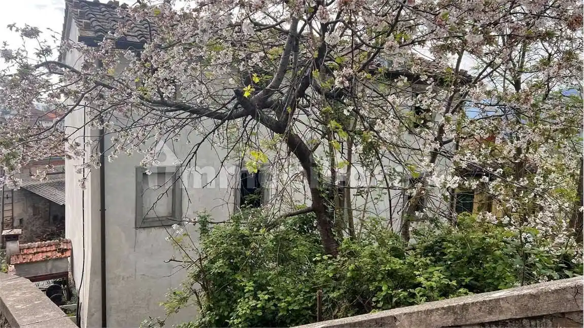 Casa indipendente in vendita a Capannori