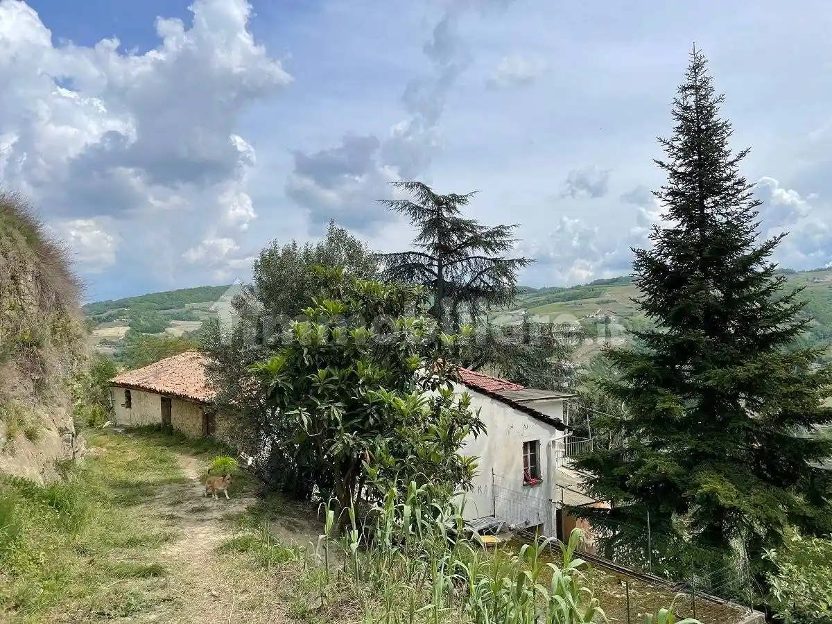 Cascina Località San Pietro Strada Casareggio, Cossano Belbo - foto 2